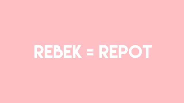Rebek (Foto: Mela Nurhidayati/kumparan)
