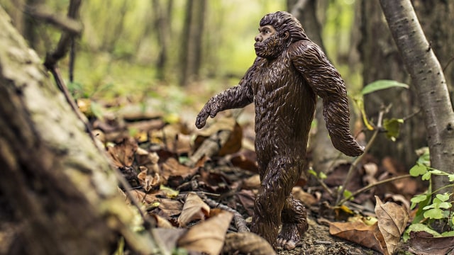 Ilustrasi Yeti (Foto: Ryan McGuire via Pixabay)
