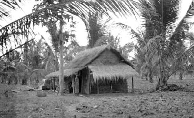 Keadaan Penduduk Blambangan Pada Tahun 1800an
