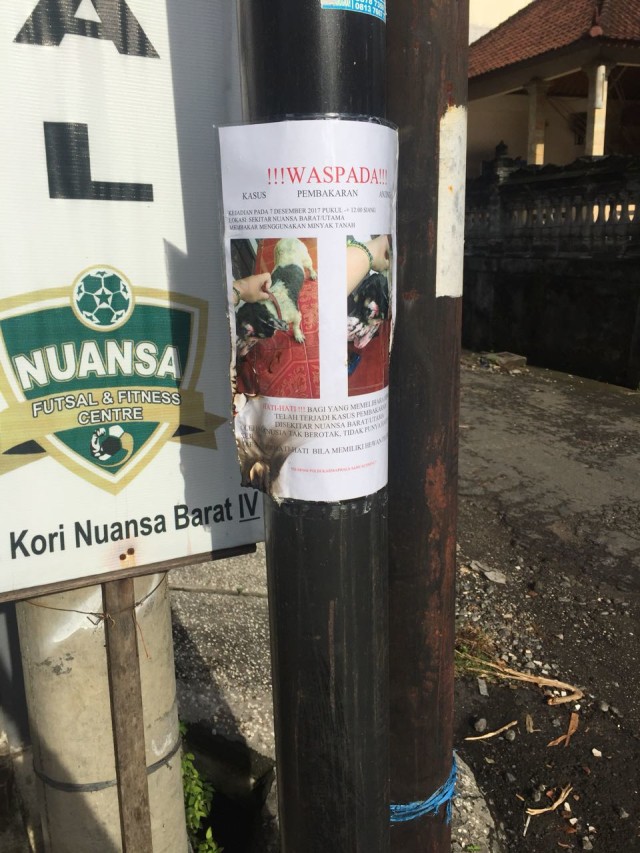 Pamflet anjing Pino yang dibakar (Foto: Dok Astiti Wahyuni)