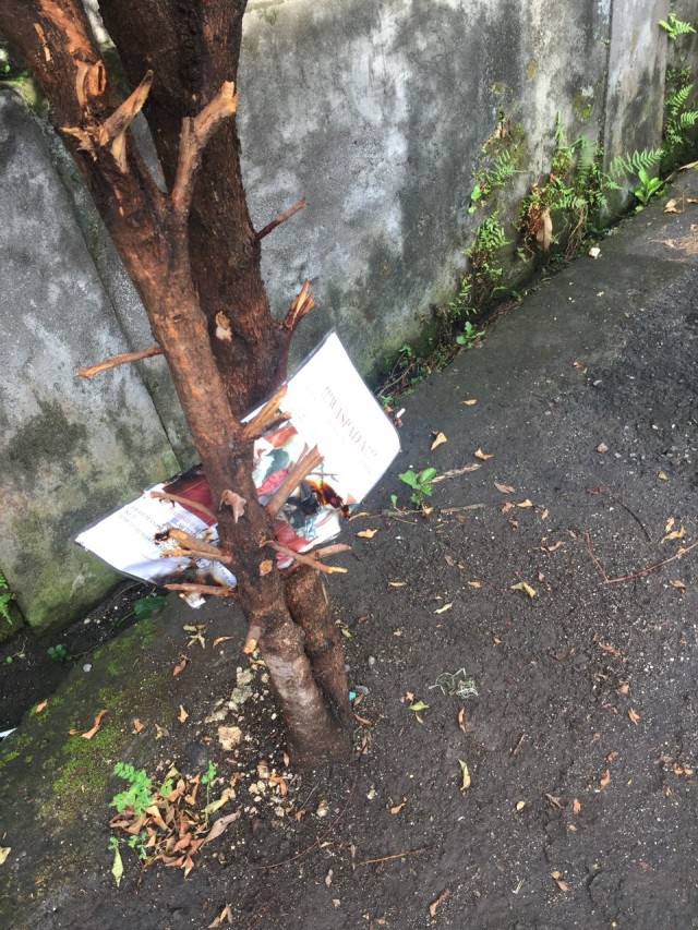 Pamflet anjing Pino yang dibakar (Foto: Dok Astiti Wahyuni)
