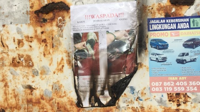 Pamflet anjing Pino yang dibakar. (Foto: Dok. Astiti Wahyuni)