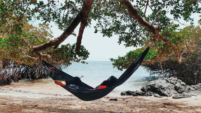 Pantai Bama di kawasan Taman Nasional Baluran (Foto: Instagram @juniardanarizky)