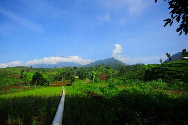 PESONA DESA BEBIDAS – AUTHENTIC PULAU LOMBOK (2)