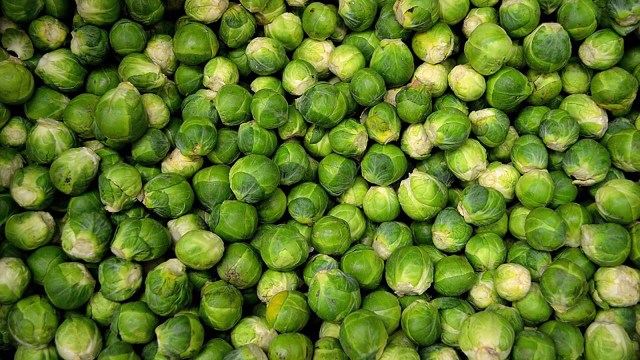 Ilustrasi Kubis Brussel. Foto: Pixabay
