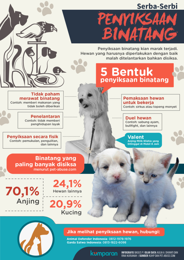 Serba-serbi Penyiksaan Binatang (Foto: Bagus Permadi/kumparan)