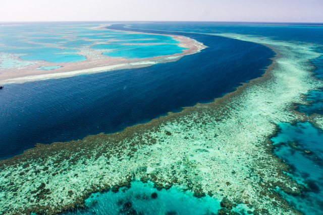 com-Great Barrier Reef (Foto: Thinkstock)