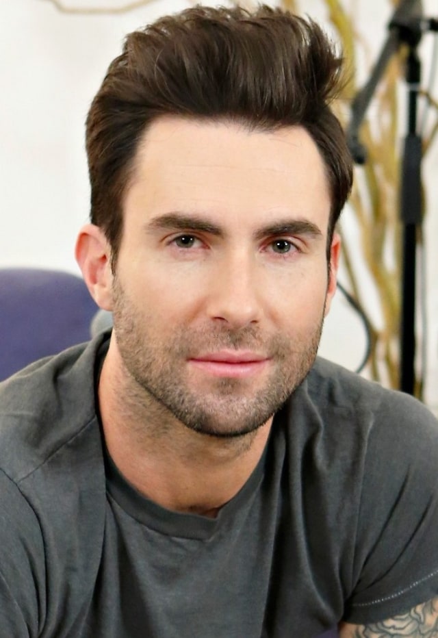 Adam Levine Foto: Dok. Domfreechep