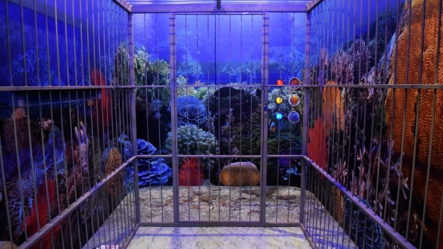 Escape Room SOS from the Deep (Foto: Dok. Coral Triangle Center)