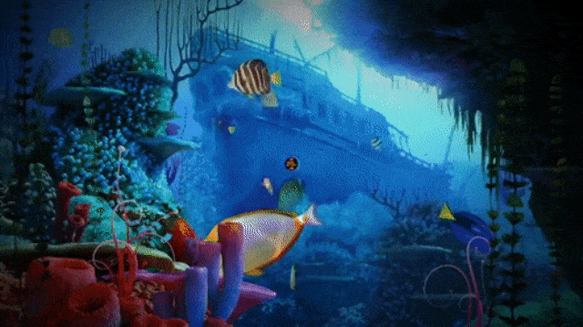 Sos From The Deep (Foto: Youtube/Coral Triangle Center)