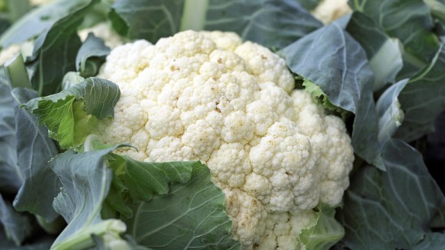 Kembang kol Foto: Pixabay