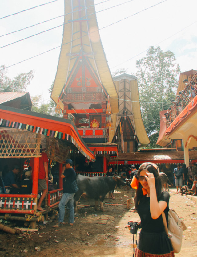 Melihat Rambu Solo: Upacara Pemakaman di Toraja