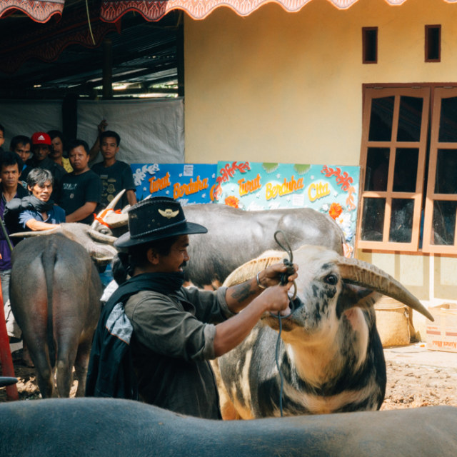 Melihat Rambu Solo: Upacara Pemakaman di Toraja (4)