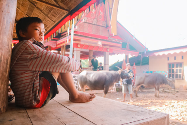 Melihat Rambu Solo: Upacara Pemakaman di Toraja (5)