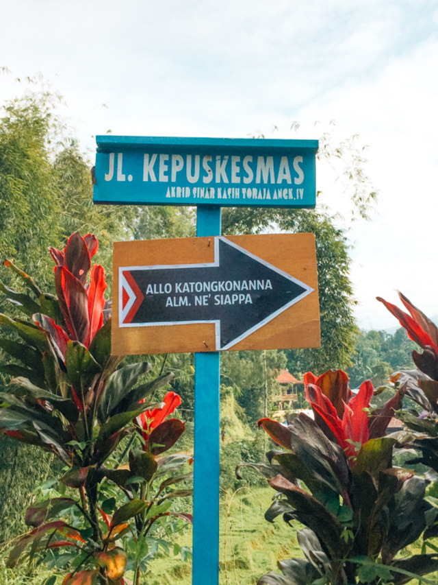 Melihat Rambu Solo: Upacara Pemakaman di Toraja (6)