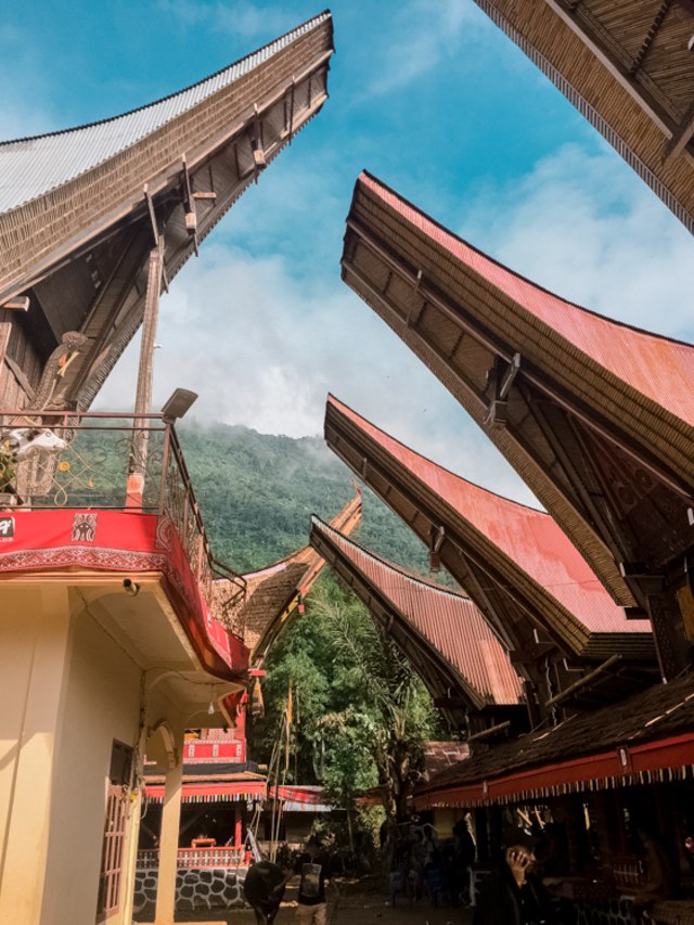 Melihat Rambu Solo: Upacara Pemakaman di Toraja (8)