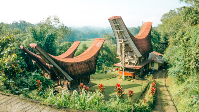 Melihat Rambu Solo: Upacara Pemakaman di Toraja (17)