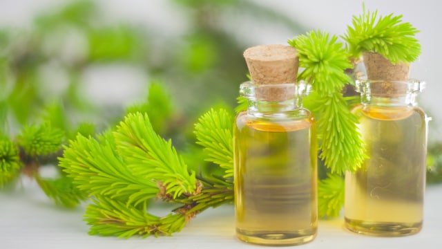 Ilustrasi tea tree oil (Foto: Thinkstock)
