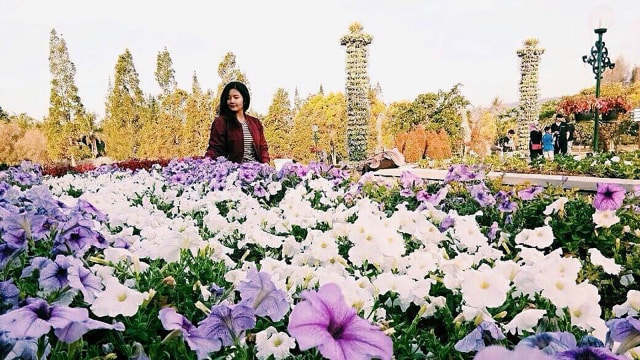 Taman Bunga Nusantara di Cianjur. (Foto: Instagram @tamanbunganusantara)