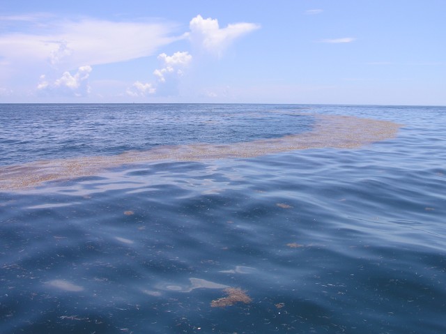 Laut Tanpa Garis Pantai