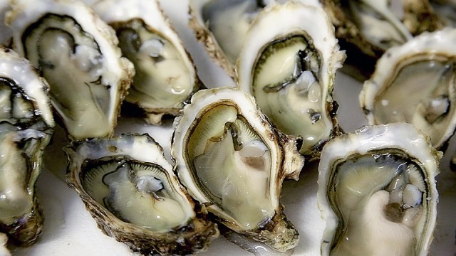 Kerang (Foto:  Pixabay)