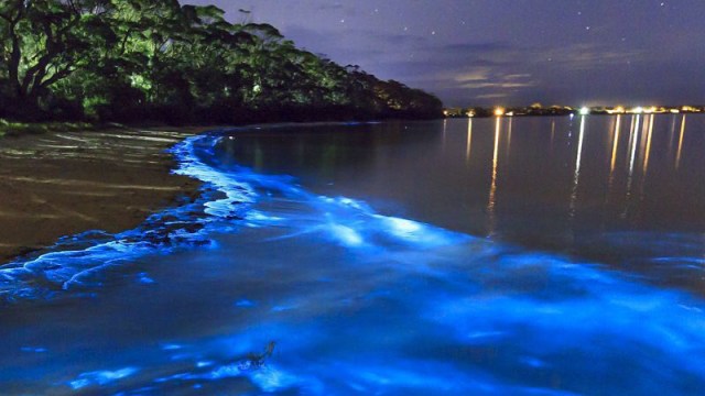 Pulau Vaadhoo tampak menyala (Foto: Instagram @destinosimperdiveis)