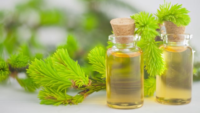 Tea tree oil (Foto: Thinkstock)