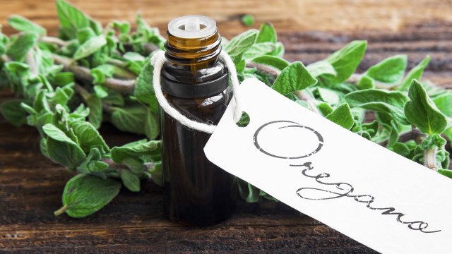 Minyak oregano (Foto: Thinkstock)