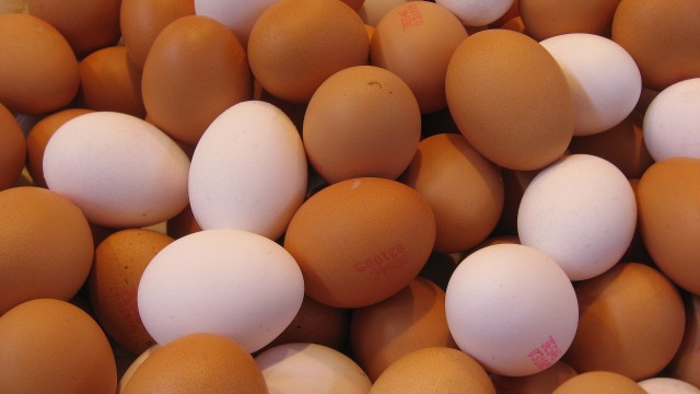 Kenaikan Harga Telur, Reformasi 1998, dan Demo Besar di Iran