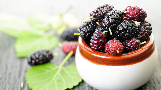 Mulberi (Foto: thinkstock)