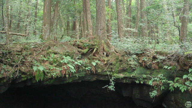 The Ice Cave Aokigahara (Foto: Dok.aokigaharaforest.com)