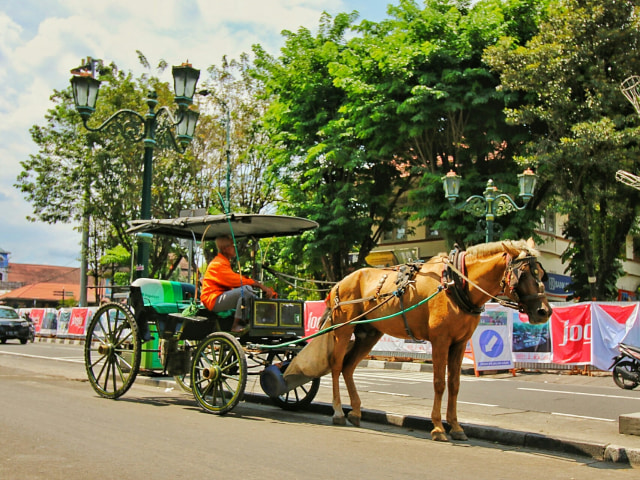 Harapan Eksistensi Andong dan Becak