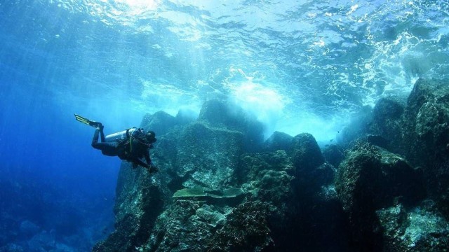 Contoh scuba diving (Foto: Instagram @_scuba_diving_)