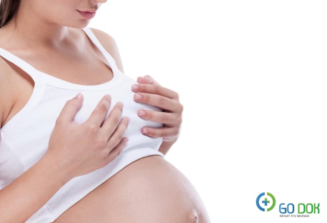 12 Perubahan Payudara saat Hamil
