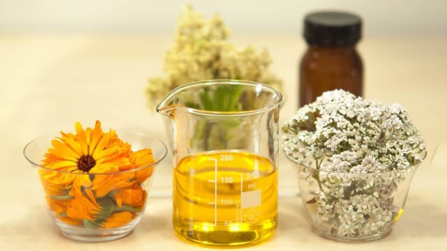 Jojoba Oil (Foto: Pixabay)