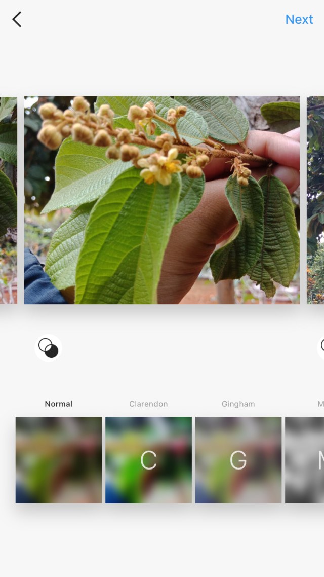 Pilih filter yang sesuai di Instagram. (Foto: Astrid Rahadiani Putri/kumparan)