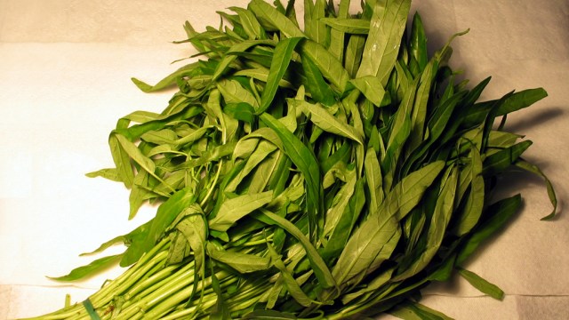 Kangkung (Foto: Wikimedia Commons)