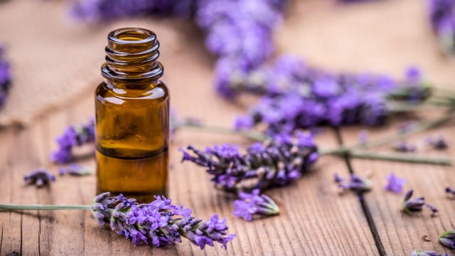 Minyak Lavender (Foto: Thinkstock)