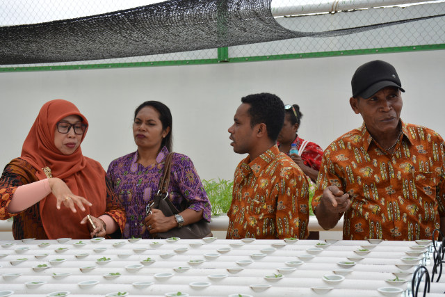 Warga Kampung Mapia Papua Belajar Teknik Hidroponik di Kota Makassar (4)