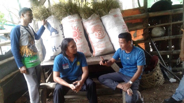 BKSDA Aceh Kembali Amankan Siamang Jantan (Foto: Dok. BKSDA Aceh)