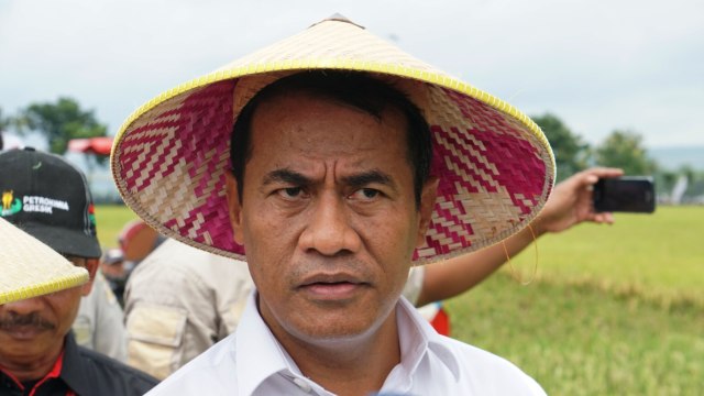 Mentan Amran Sulaiman (Foto: Apriliandika Hendra/kumparan)