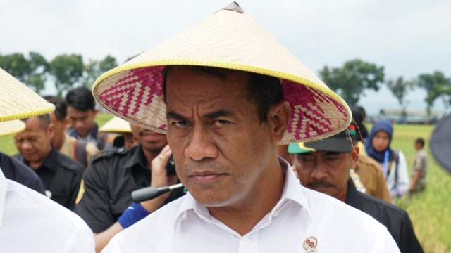 Mentan Amran Sulaiman (Foto: Apriliandika Hendra/kumparan)