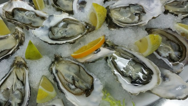 Ilustrasi tiram (Foto: pixabay.com)