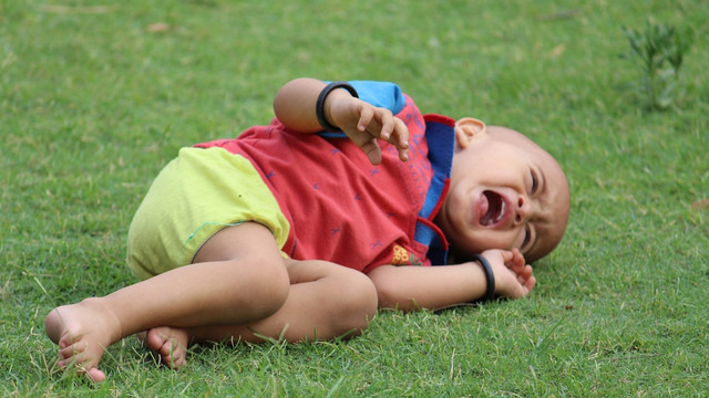 Anak menangis meraung (Foto: Pixabay)