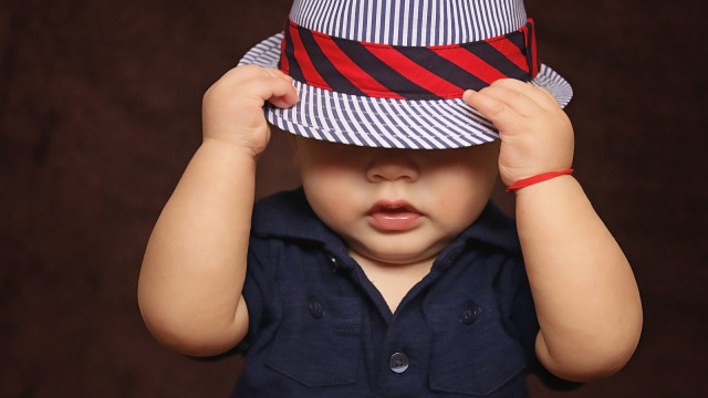 Anak malu (Foto: Pixabay)