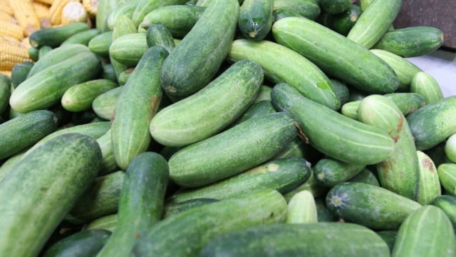 Ilustrasi Sayuran (Foto: Iqbal Firdaus/kumparan)