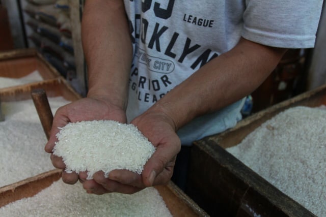Ilustrasi beras. Foto: Iqbal Firdaus/kumparan