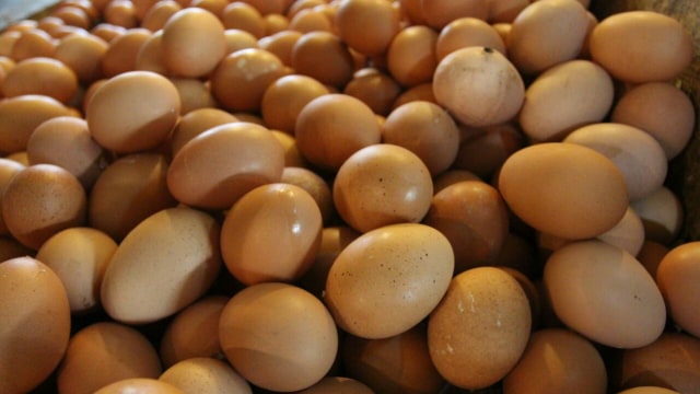 Ilustrasi telur Foto: Iqbal Firdaus/kumparan