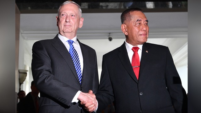 Ryamizard Ryacudu dan James Mattis (Foto: Antara/Sigid Kurniawan)