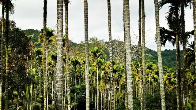 Hainan, China. (Foto: Anggi Kusumadewi/kumparan)